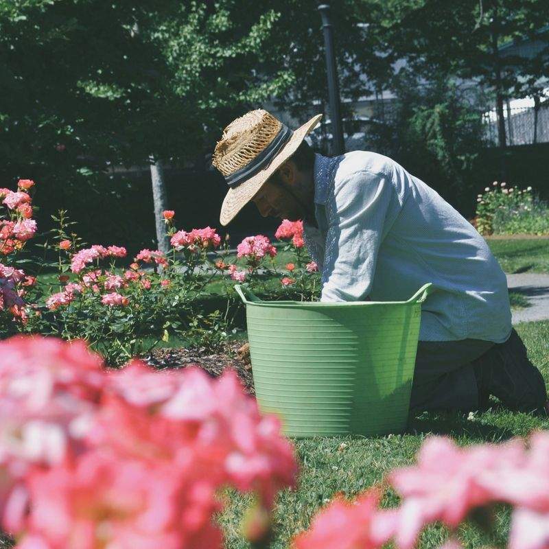 Entretien de jardins et espaces verts